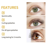 IBCCCNDC Lash Lift & Eyebrow Lamination & Tint Kit (Professional Kit)